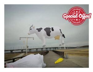 MRXFN kids toys 3.2M Large Kite