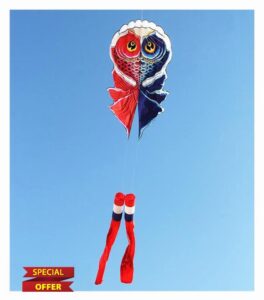 MRXFN kids toys Fish Kite Flying Soft Kite for Inflatable Kites windsocks Kite Parachute Professional Kite (Color : 2pcs)