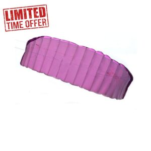 kids toys 5 Square Meters Quad Line Parafoil Kite with Flying Tools Power Braid Sailing Kitesurf Purple Sports Beach