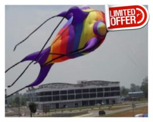GAzOOaRt kite Kite giant soft kites for adults professional outdoor games child kites large flying toy ripstop
