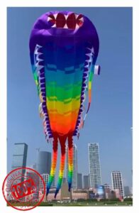 PSVOD Beach Kite 3D Kite Giant Kites