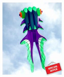 ESBANT Kite Large Soft Fish Kite Outdoor Toys Flying Nylon Ripstop Kites for Adults Reel Inflatable Octopus Kites Wind Dragon kite (Color : Purplegreen Color)