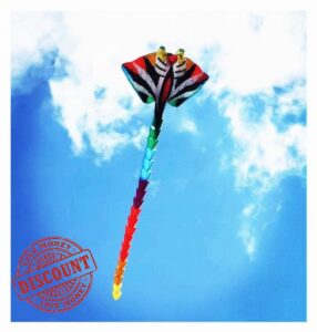 MRXFN kids toys Kite Flying Folding Kite Buggy Snake Kite Winder Large Kites (Color : Red)