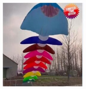 Beach Kite 5m 3D Kites for Adults Giant