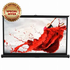 Portable Projector Screen