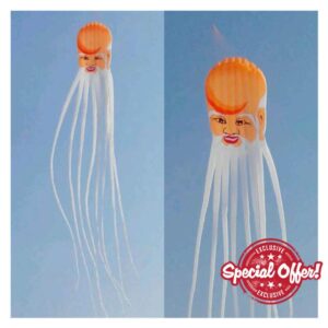 ESBANT Beach Kite Chinese Traditional Longevity Kite