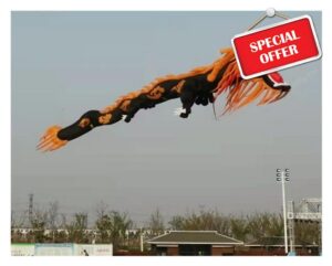 Beach Kite 15m 3D Dragon Kite