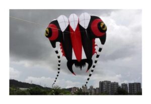 PSVOD Giant Kite