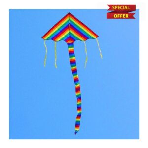 Rainbow Kite Large Delta Kite for Adults Kite Toys Flying Eagle Kite Board Power Kite Reel weifang Kite Factory present (Color : 100 Pcs)