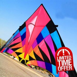 BILEK Large delta kite for adults flying toys ripstop nylon sport kite string reel dragon kite volant parachute