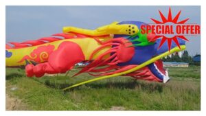 EKORAS Flying dragon soft kite pendant large huge inflatable kite line laundry for Adults (Color : 30m)
