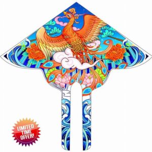 Kites for Adults Creative Chinese Style Gorgeous Phoenix Kite Large Aerial Flying Toys in Outdoor Parks A Gift for Kite Beginners (Size : 4.8ft+853ft line)