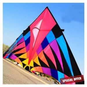 kite Large kite for adults flying toys ripstop nylon sport kite string reel dragon kite (Color : 5m Kite)