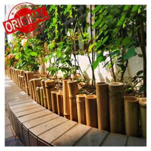 XILYZMO Plants Pool Fences