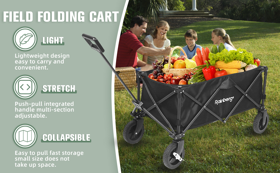 Cart carry