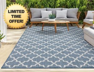 homeart Outdoor Rugs | Easy-Cleaning Indoor & Outdoor Area Rugs for Porch