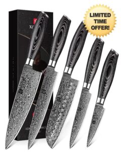 XINZUO 5Pcs Kitchen Knife Set Damascus Steel High Carbon Steel Chef Knife Slicing Knife Santoku Knife Utility Knife Paring Knife Chef Knife Set with Pakkawood - Ya Series