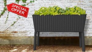 Keter Splendor Planter