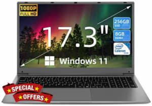 SGIN 17.3 Inch Laptop Windows 11 8GB DDR4 256GB SSD (TF 512GB)