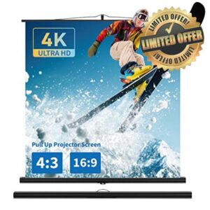 Portable Projector Screen and Stand