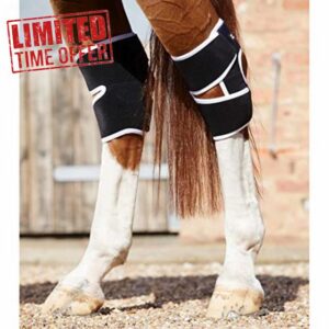 Premier Equine Bi-Polar Magni-Teque Hock Boots - Black