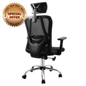 SKSBTF Ergonomic Office Desk Chair with Adjustable Headrest and Armrest Computer Mesh Chair with Lumbar Support executive Swivel Chair for Home Office Study Game
