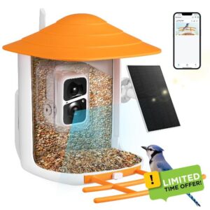 Bird Feeder Camera