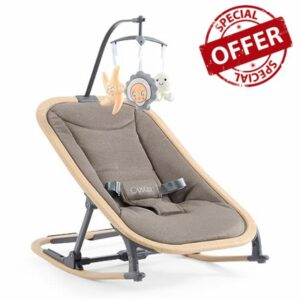 BabyStyle Oyster Rocke