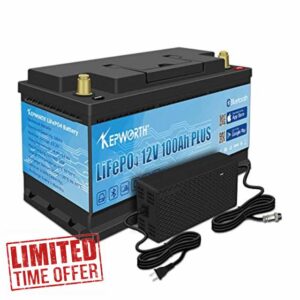 FLLYROWER Bluetooth Lifepo4 Battery 12V 100AH with BMS and Grade A Cells for Camping Car and so on Auto battery Support Series and Parallel