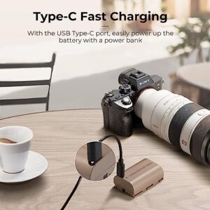 No Charger Needed USB C LP-E6NH Batteries Compatible with Canon EOS 90D/80D/70D/5D Mark II III IV/5DS SR/6D/6D Mark II