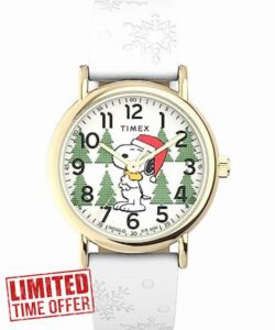 Timex Unisex's Quartz Analog Watch with Leather Strap TW2W241