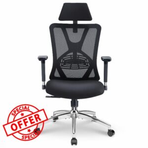Ticova Ergonomic Office Chair - High Back Desk Chair with Adjustable Lumbar Support