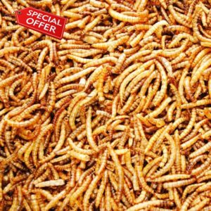 Premium Dried Mealworms - 12.55kg - approx 75 litres - Wholesome Nourishment for Nature's Finest - Premium Dried Mealworms (12.55kg (approx 75 litres))