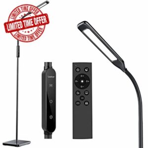 Lastar LED Floor Lamp