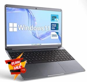 SGIN Laptop 15.6" 1080P Display Full HD Laptop 12GB RAM 512GB SSD Storage