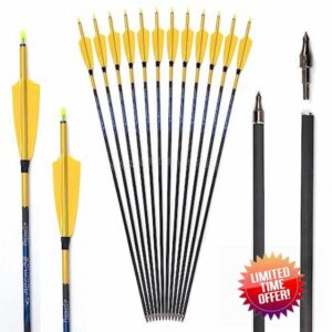 ACCMOS 12pcs Archery Carbon Arrows