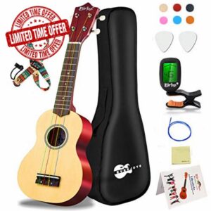 Everjoys Soprano Ukulele Beginner Kit 21 Inch Ukelele w/How to play Songbook Carrying bag Digital Tuner All in One Se