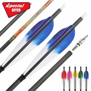 surwolf 31" Pure Carbon Arrows Archery Hunting Arrows 250 300 350 400 500 600 Spine with Natural Feather Fletched Targeting Arrows for Compound & Recurve & Long Bow 12pcs