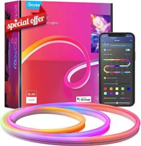 Govee Neon LED Lights 5M