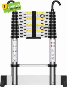 Teenza 2.9M Telescopic Ladder