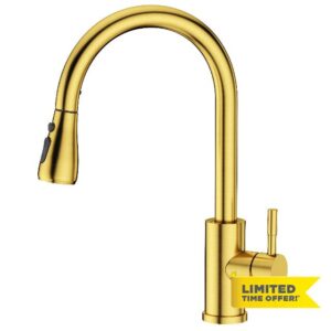 FORIOUS Kitchen Sink Taps Mixer with Pull Out Spray