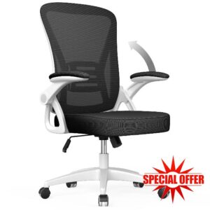 aspaluro Office Chair Ergonomic Desk Chair with 90° Flip-up Armrest Lumbar Support
