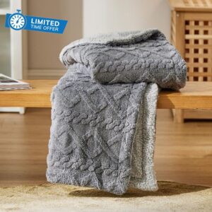 Bedsure Sherpa Fleece Throw Blanket - Fluffy Fuzzy Soft Warm Jacquard Coral Fleece Blanket for Sofa