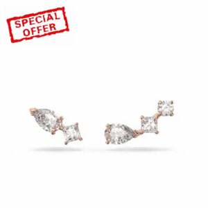Swarovski Attract Collection Earrings