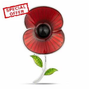 Summer Morning Sun Silver Poppy Brooch