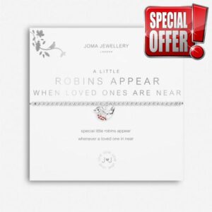 Joma Jewellery A Little Robins Appear When Loved Ones Are Near Bracele