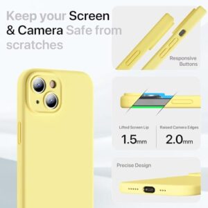 2 Pack Screen Protector