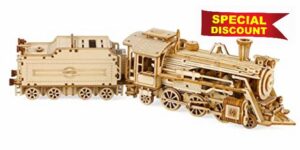 ROKR Locomotive Wooden Model kit For Adult - Locomotive Model Building Kits - Christmas Birthday Gifts For Teens and Adults (Prime Steam Express)