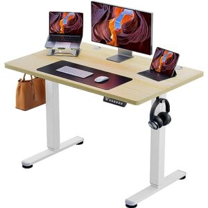 40 x 24 Inches Sit Stand up Desk