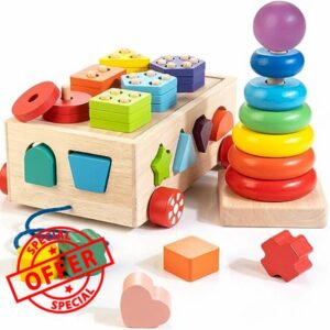 Bravmate Montessori Toys for 1 2 3 Year Old